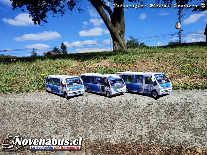 Minis Marcopolo Senior / Línea 2 Temuco