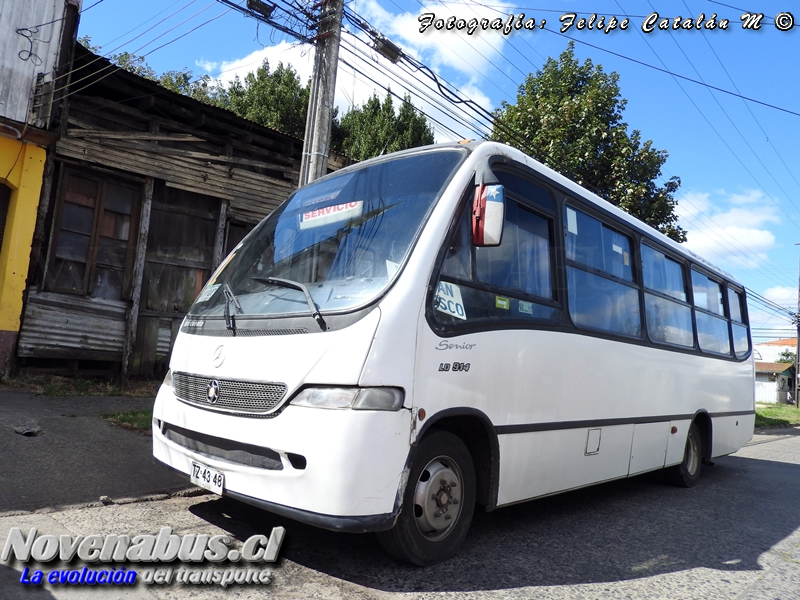 Marcopolo Senior / Mercedes-Benz LO-914 / Línea 1 Lautaro