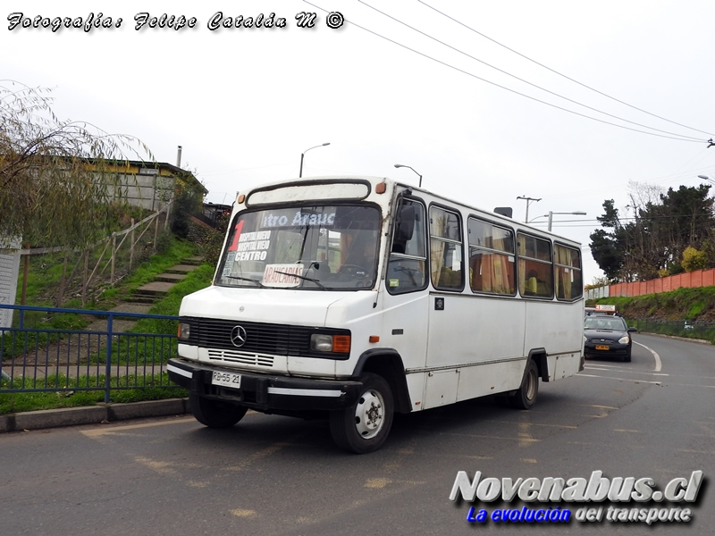 Carrocerías LR Bus / Mercedes-Benz LO-814 / Línea 1 Lautaro