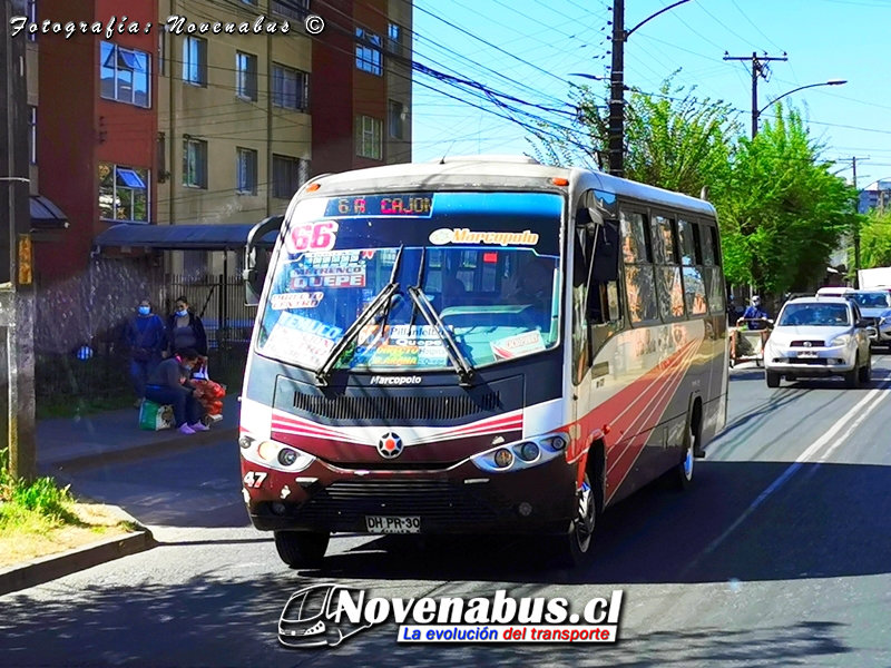 Marcopolo Senior / Mercedes-Benz LO-915 / Línea 6 Temuco