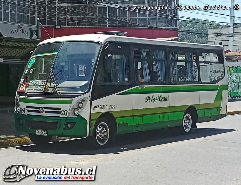 Caio lnduscar Foz / Mercedes-Benz LO-812 / Línea 8 Temuco