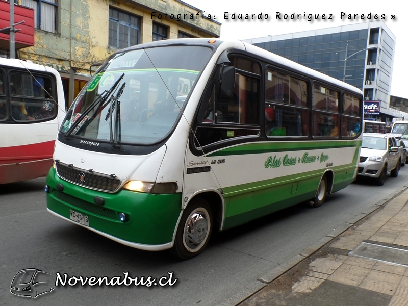 Marcopolo Senior / Mercedes Benz LO812 / Línea 8 Temuco