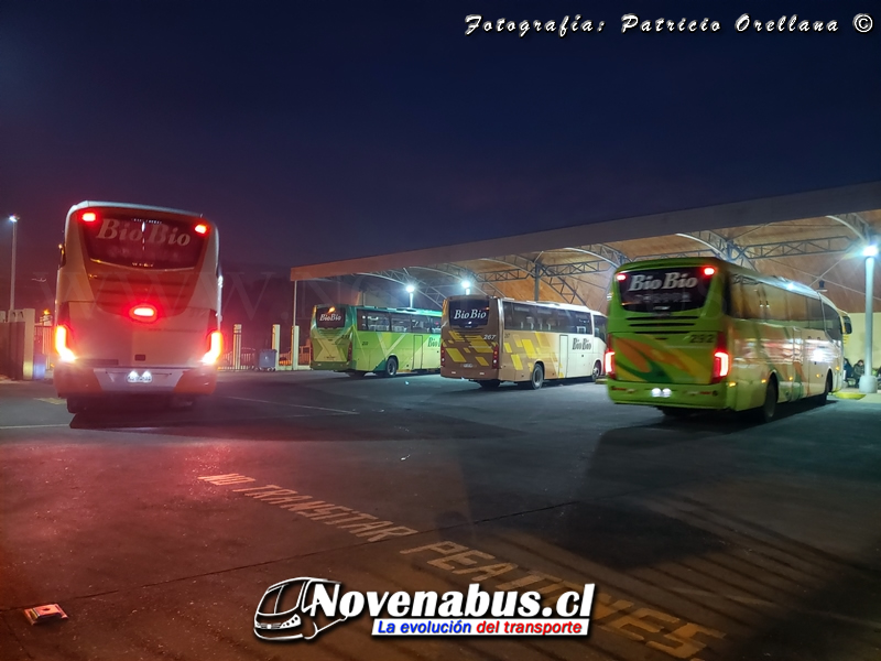 Terminal de buses Bio Bio Angol