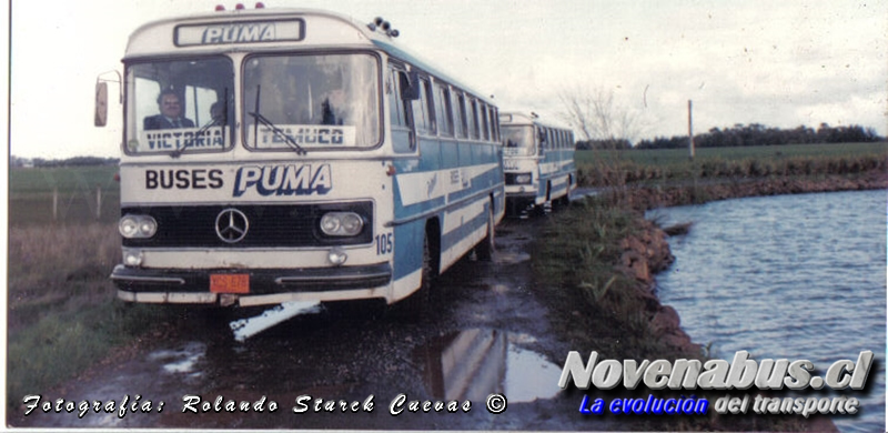 Mercedes-Benz O-355 / Buses Puma