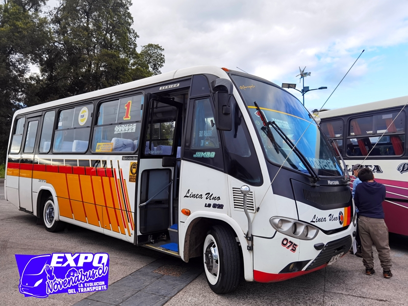 Marcopolo Senior / Mercedes-Benz LO-812 / Línea 1 Temuco