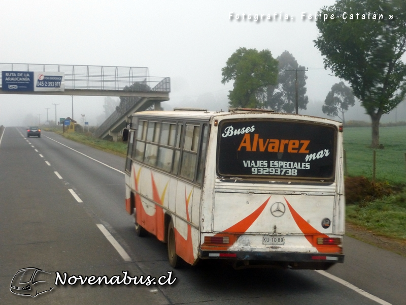 Caio Vitoria / Mercedes Benz OF-1115 / Buses Álvarez Mar