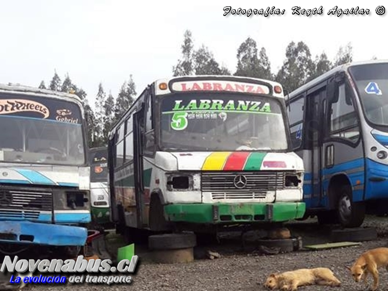 Carrocerías LR BUS / Mercedes-Benz LO-814 / Línea 5 Temuco