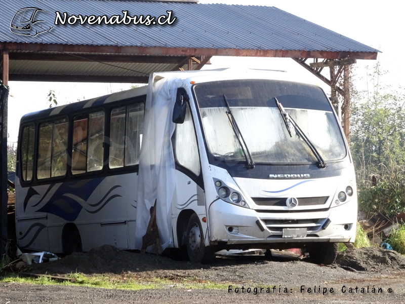 Neobus Thunder + / Mercedes-Benz LO-915 / Particular