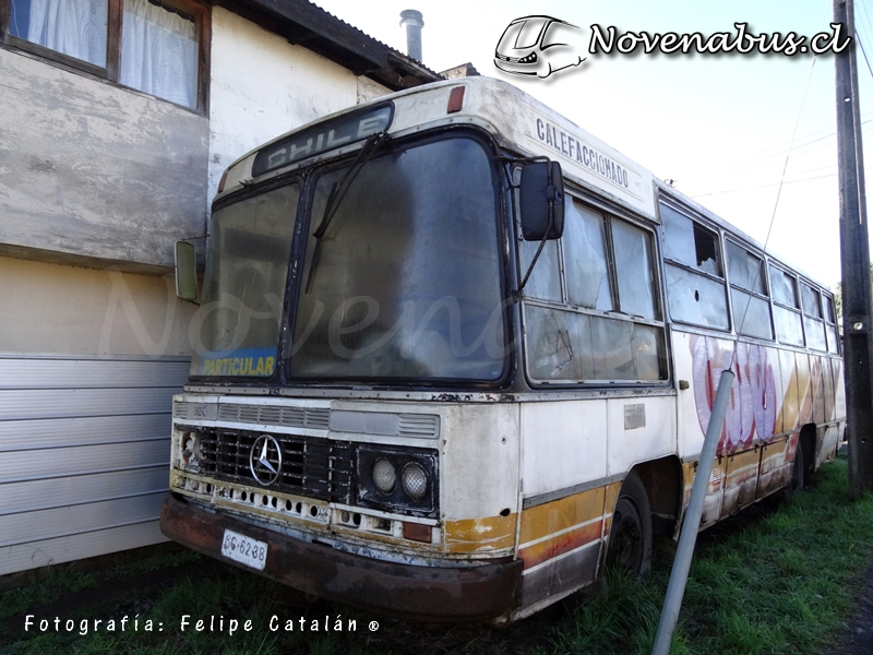 Caio Gabriela / Mercedes-Benz OF-1113 / Ex Transmar