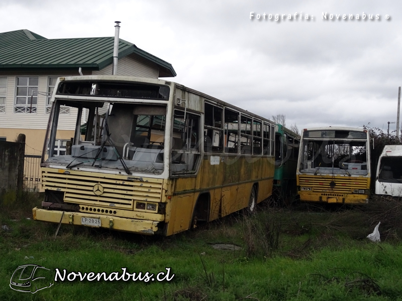 Caio Vitoria / Mercedes-Benz OF-1318 / Buses DyR