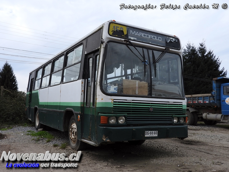 Marcopolo Torino / Mercedes-Benz OF-1318 / Particular