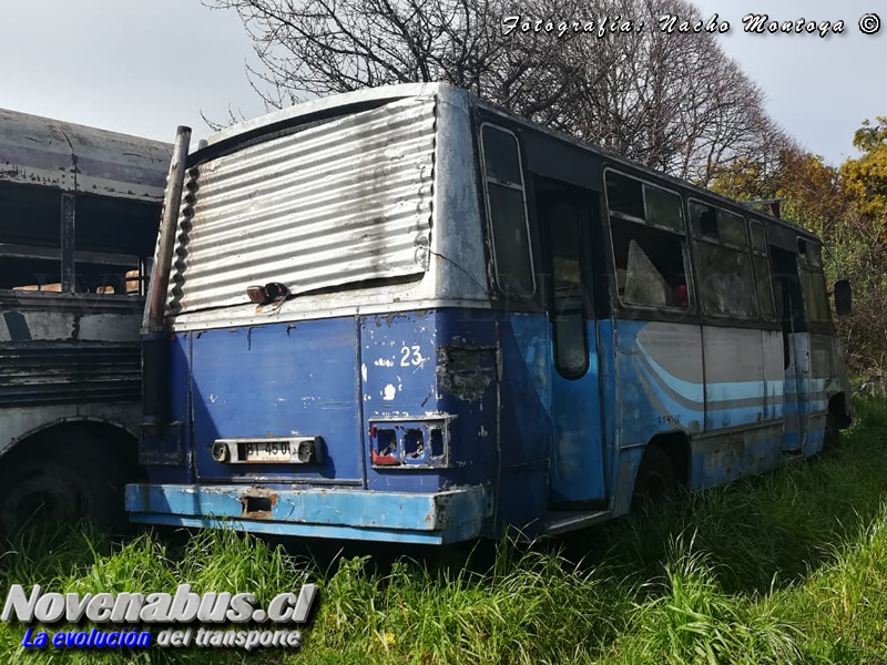 Caio Carolina / Mercedes Benz 608-D / Linea 4 Temuco