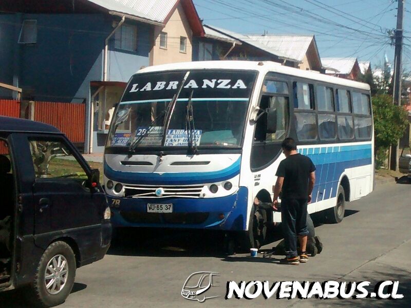 Caio Piccolo / Mercedes-Benz LO-915 / Línea 2 Temuco