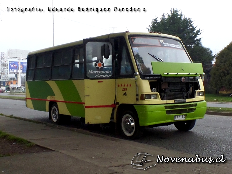 Marcopolo Senior / Mercedes-Benz LO914 / Las Colinas Temuco