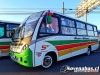 Neobus Thunder + / Mercedes-Benz LO-916 / Línea 5 Temuco