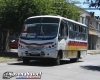 Neobus Thunder + / Mercedes-Benz LO-712 / Línea 1 Temuco