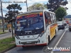 Neobus Thunder + / Mercedes-Benz LO-916 / Línea 1 Temuco