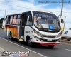 Caio F2400 / Mercedes-Benz LO-916 / Línea 1 Temuco