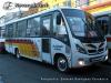 Neobus Thunder / Mercedes-Benz LO915/ Línea 1 Temuco