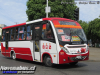 Neobus Thunder+ / Agrale 9.2 / Linea 3 Temuco