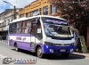 Maxibus Astor / Mercedes-Benz LO-812 / Línea 7 Temuco