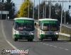 Caio lnduscar Foz / Mercedes-Benz LO-812 / Línea 5 Temuco