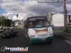 Metalpar Pucará 2000 / Mercedes-Benz LO-814 / Línea 5 Temuco