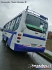 Marcopolo Senior / Mercedes Benz LO-914 / Línea 7 Temuco