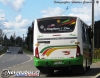 Neobus Thunder + / Mercedes-Benz LO-916 / Línea 5 Temuco