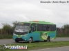 Marcopolo Senior / Mercedes-Benz LO-915 / Buses Villarrica