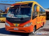 Mascarello Gran Micro / Mercedes Benz LO-915 / Transportes L&F