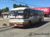 Busscar El Buss / Mercedes-Benz OF1318 / TransMar