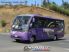 Neobus Thunder + / Mercedes-Benz LO-916 / Terra Tour