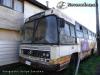 Caio Gabriela / Mercedes-Benz OF-1113 / Ex Transmar