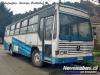 Caio Vitoria / Mercedes-Benz OF-1318 / Ex Rosen