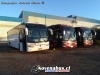 Buses CollBus Al Servicio De Buses HG