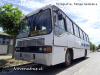 Marcopolo Allegro / Mercedes-Benz OF-1115 / Particular